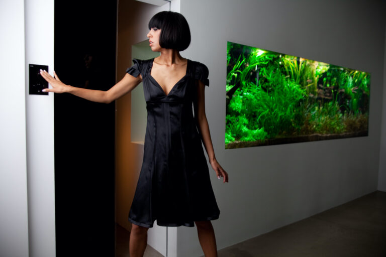 Motorized Pocket Door